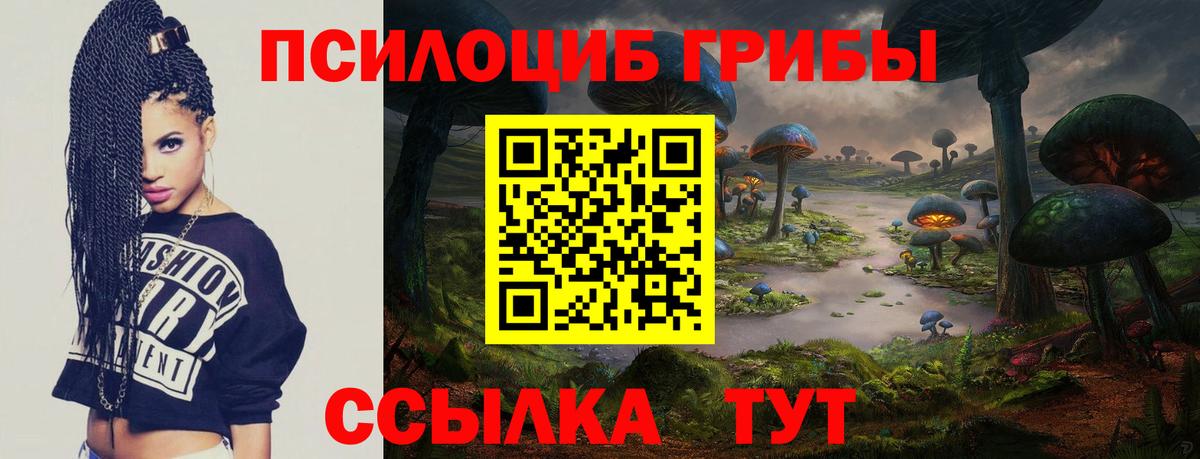 Галлюциногенные грибы ЛСД  Вход с VPN  Лабытнанги  Галлюциногенные грибы Psilocybine cubensis 